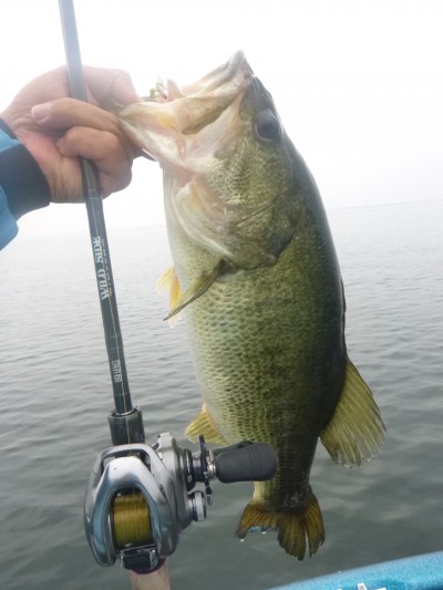 truth truth_news ブログ写真 2015/06/16