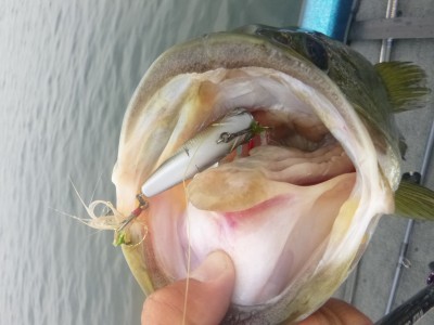 truth truth_news ブログ写真 2015/06/16