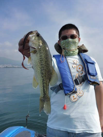 truth truth_news ブログ写真 2015/06/17