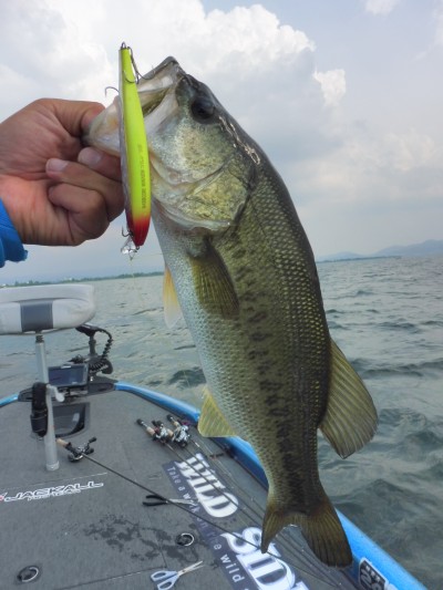 truth truth_news ブログ写真 2015/06/17