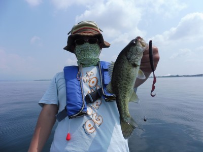 truth truth_news ブログ写真 2015/06/17