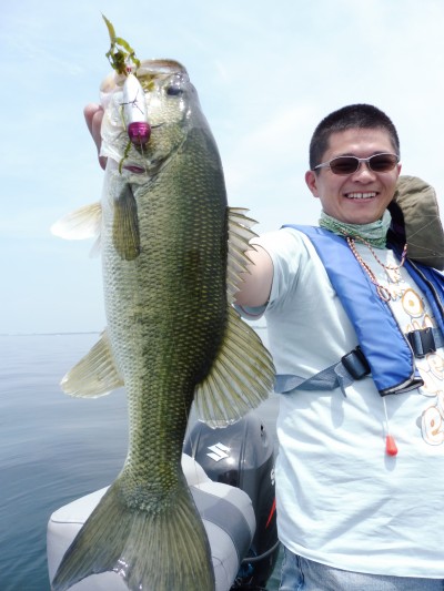 truth truth_news ブログ写真 2015/06/17