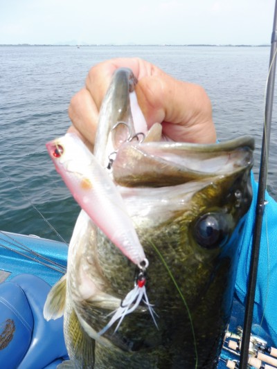 truth truth_news ブログ写真 2015/06/17