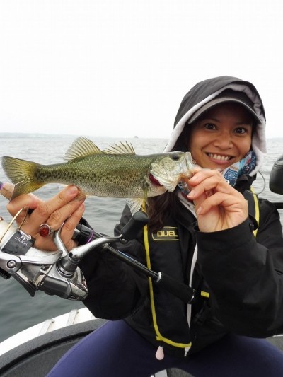 truth truth_news ブログ写真 2015/06/19