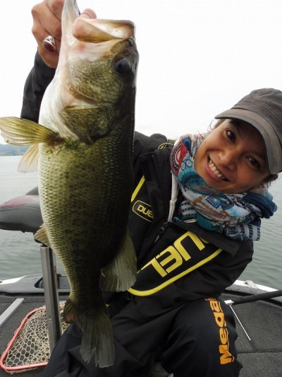 truth truth_news ブログ写真 2015/06/19