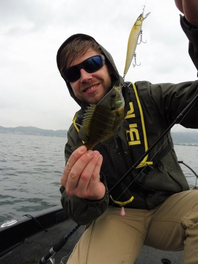 truth truth_news ブログ写真 2015/06/19