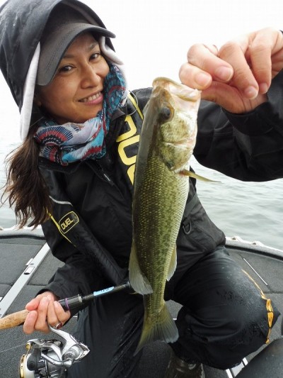 truth truth_news ブログ写真 2015/06/19