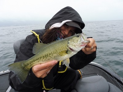 truth truth_news ブログ写真 2015/06/19