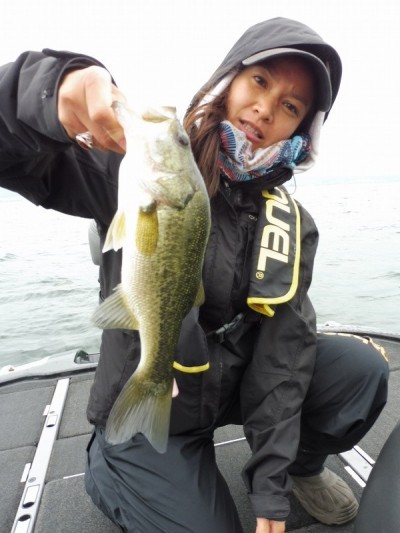 truth truth_news ブログ写真 2015/06/19