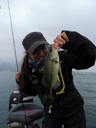 truth truth_news ブログ写真 2015/06/19