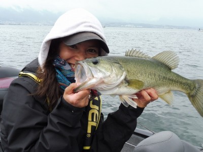 truth truth_news ブログ写真 2015/06/19