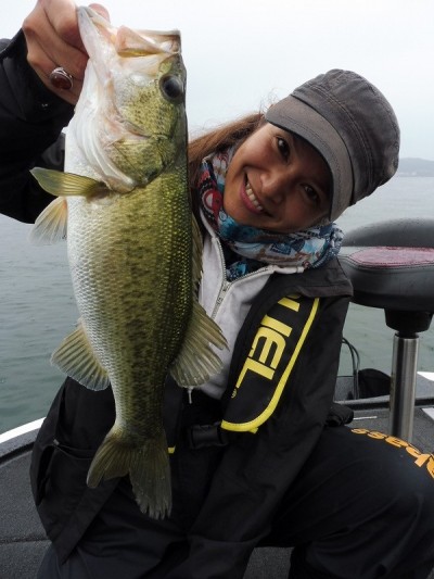 truth truth_news ブログ写真 2015/06/19