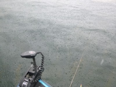 truth truth_news ブログ写真 2015/06/21