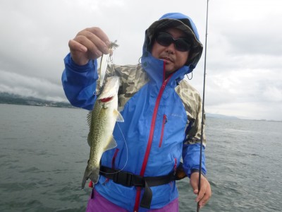 truth truth_news ブログ写真 2015/06/21