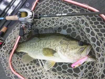 truth truth_news ブログ写真 2015/06/23