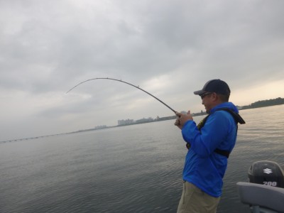 truth truth_news ブログ写真 2015/06/23