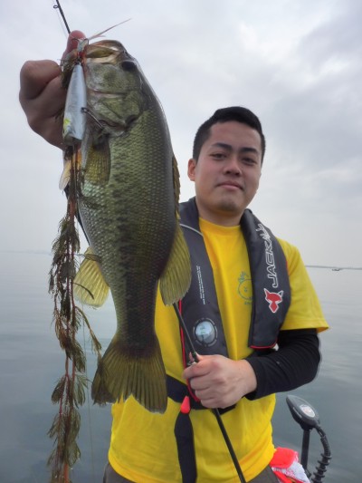 truth truth_news ブログ写真 2015/06/24