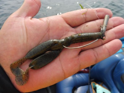 truth truth_news ブログ写真 2015/06/24