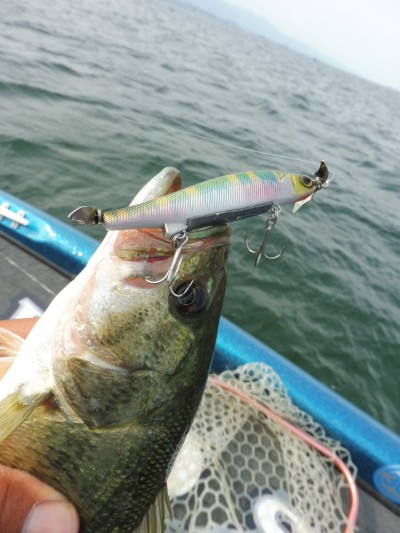 truth truth_news ブログ写真 2015/06/25