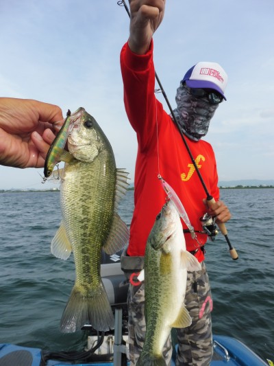 truth truth_news ブログ写真 2015/06/25