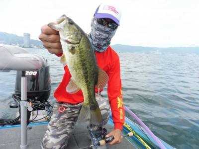 truth truth_news ブログ写真 2015/06/25