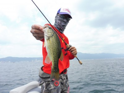 truth truth_news ブログ写真 2015/06/25