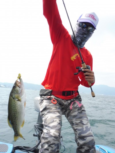 truth truth_news ブログ写真 2015/06/25