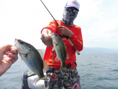 truth truth_news ブログ写真 2015/06/25