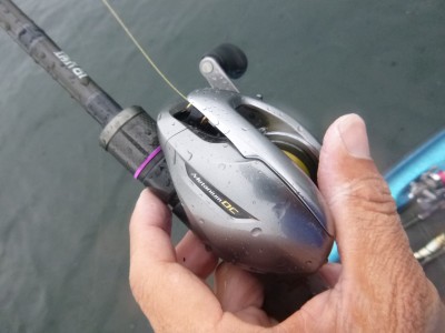 truth truth_news ブログ写真 2015/06/26