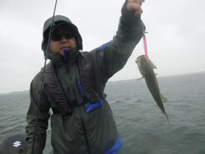 truth truth_news ブログ写真 2015/06/26