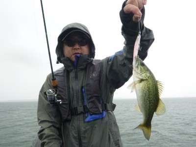 truth truth_news ブログ写真 2015/06/26