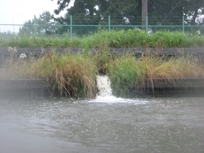 truth truth_news ブログ写真 2015/06/26