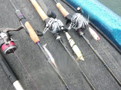 truth truth_news ブログ写真 2015/06/26