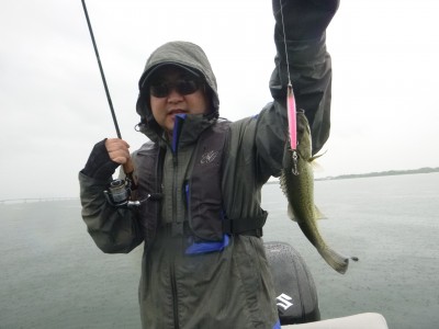 truth truth_news ブログ写真 2015/06/26