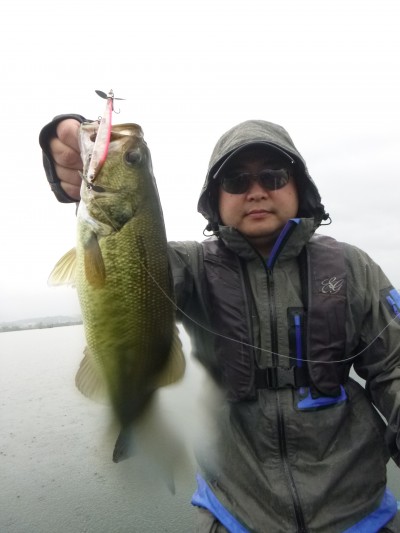 truth truth_news ブログ写真 2015/06/26