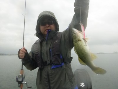 truth truth_news ブログ写真 2015/06/26