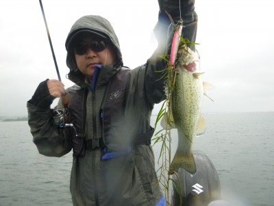 truth truth_news ブログ写真 2015/06/26