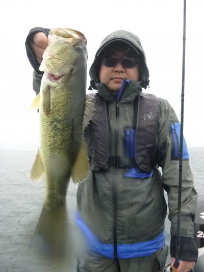 truth truth_news ブログ写真 2015/06/26