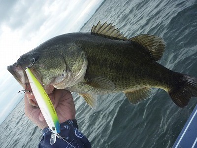 truth truth_news ブログ写真 2015/06/27