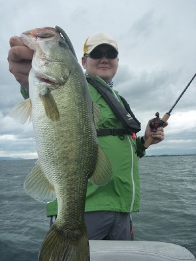 truth truth_news ブログ写真 2015/06/27