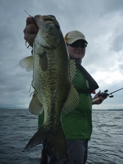 truth truth_news ブログ写真 2015/06/27