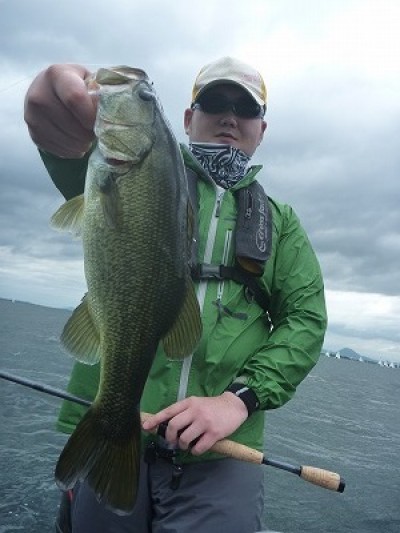 truth truth_news ブログ写真 2015/06/27