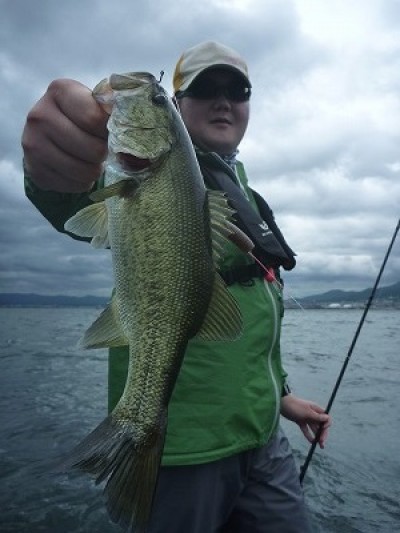 truth truth_news ブログ写真 2015/06/27