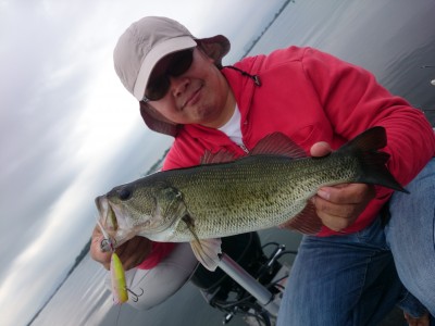 truth truth_news ブログ写真 2015/07/02