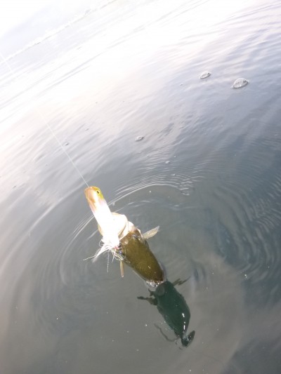 truth truth_news ブログ写真 2015/07/02