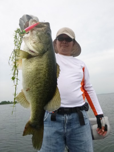 truth truth_news ブログ写真 2015/07/02