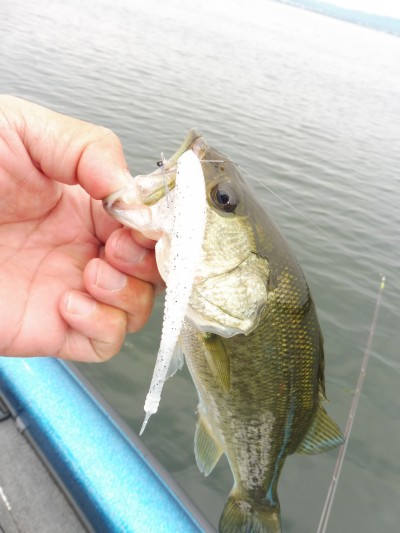 truth truth_news ブログ写真 2015/07/03