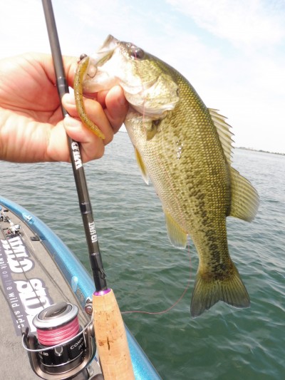 truth truth_news ブログ写真 2015/07/03