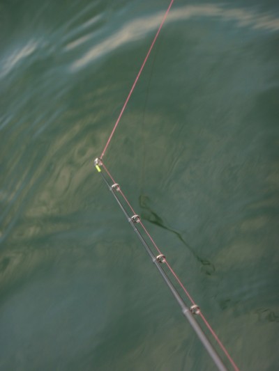 truth truth_news ブログ写真 2015/07/03