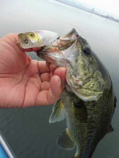 truth truth_news ブログ写真 2015/07/03